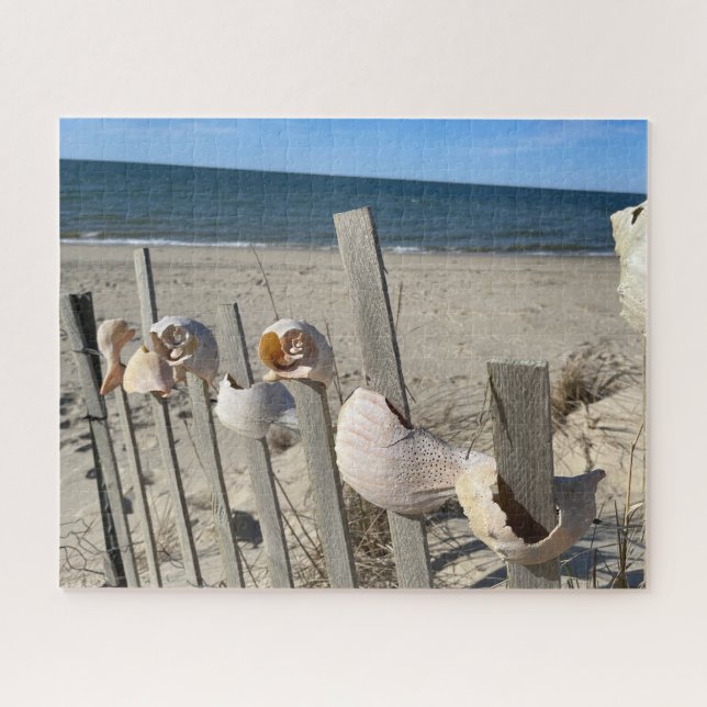 Beach Shells on a Fence by the Ocean Puzzle (Horizontal)