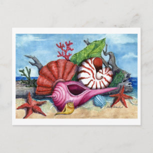 Beach Shells Painting Postcard