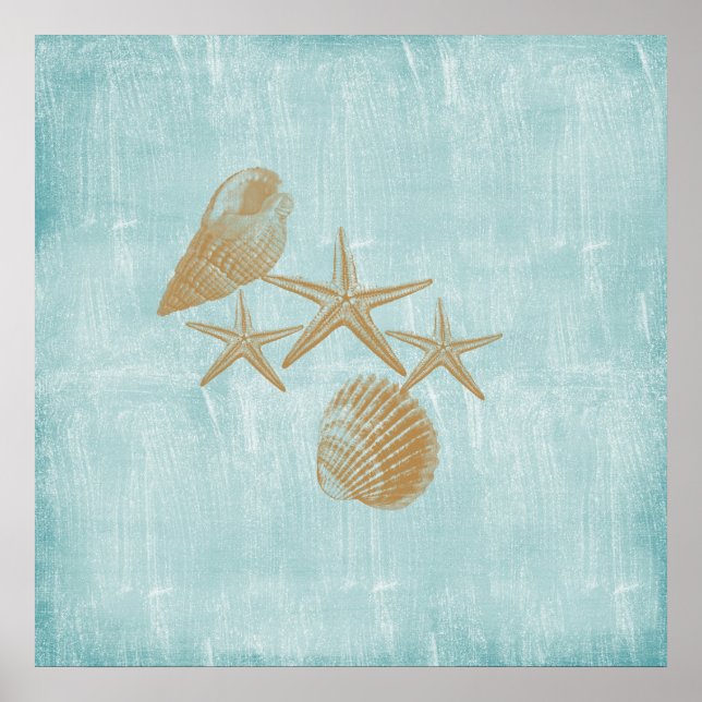 Beach shells poster (Front)