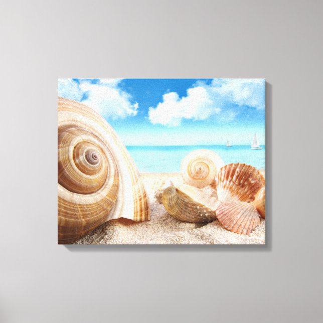 Beach Shells Wrapped Canvas (Front)