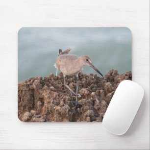 Beach Shorebird with Seafoam GreenOcean Background Mouse Pad