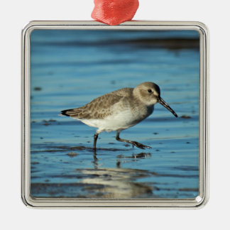 Beach Shorebirds Scene - Dunlin Metal Ornament