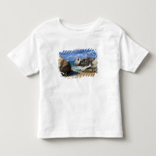 Beach side at Virgin Gorda, British Virgin Toddler T-Shirt