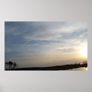 Beach Sky Poster