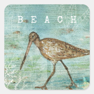 Beach Snipe Shorebird Coastal Square Sticker