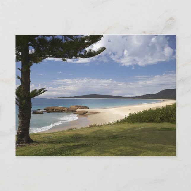 Beach, South West Rocks, New South Wales, Postcard (Front)