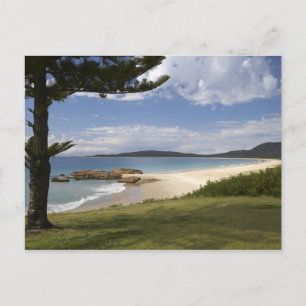Beach, South West Rocks, New South Wales, Postcard
