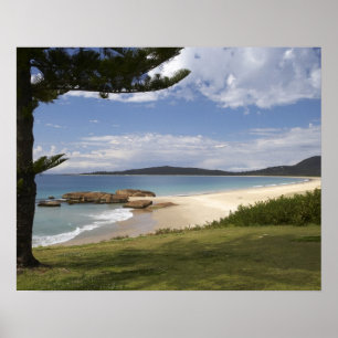 Beach, South West Rocks, New South Wales, Poster