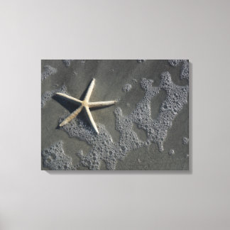 Beach Starfish Canvas Print