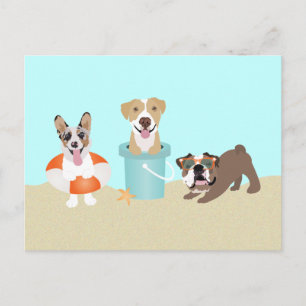 Beach Summer Dogs Blue Orange Postcard