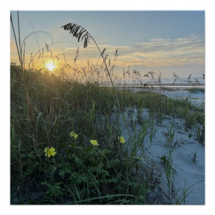 Beach Sunrise Over Dunes Poster