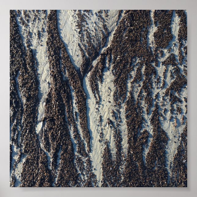 beach textures with seaweed poster (Front)