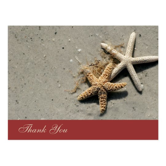 Beach Theme Thank You Postcards