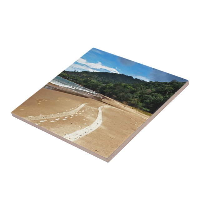 beach tracks tile (Side)