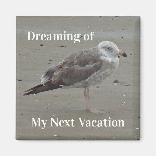 Beach Travel Painted Gray Seagull Coastal Bird Magnet