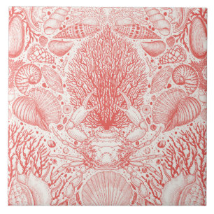 Beach treasures in coral red ceramic tile