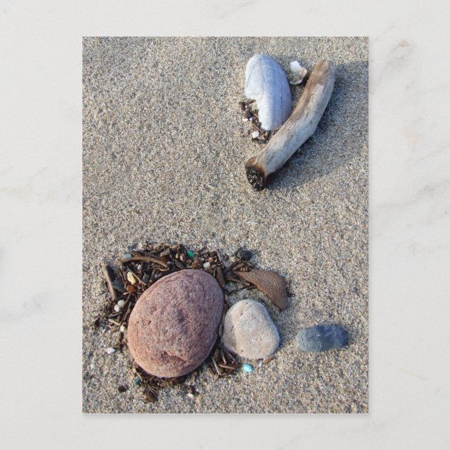 Beach Treasures Postcard (Front)