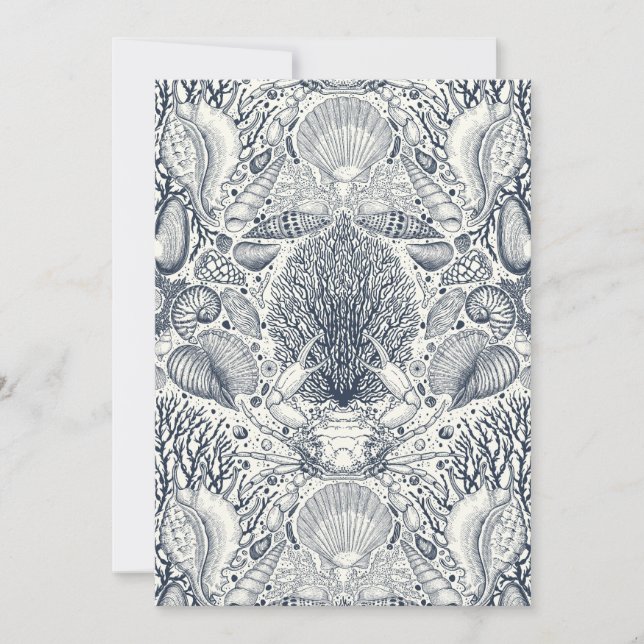 Beach treasures, seashells, crab, corals and seawe (Front)