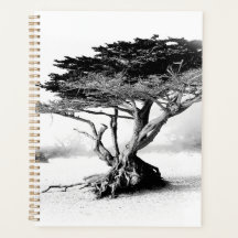 BEACH TREE Planner