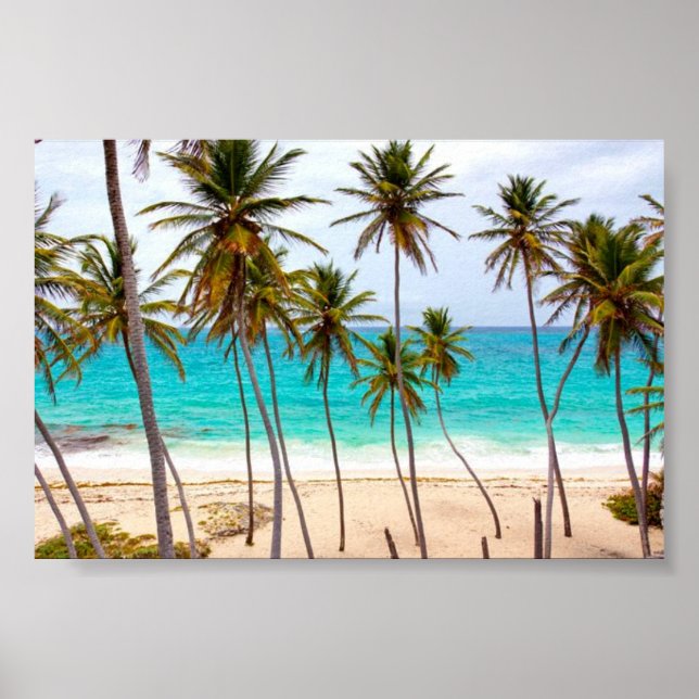 Beach Tropical with Palm Trees Poster (Front)