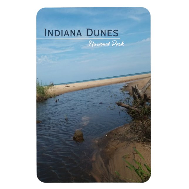 Beach Veiw Indiana Dunes National Park  Magnet (Vertical)