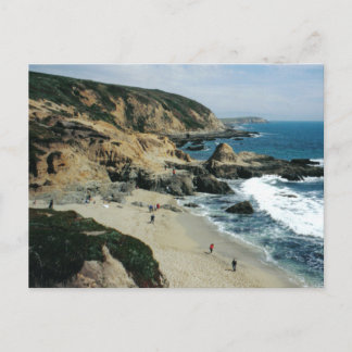 Beach View at Bodega Bay, CA Postcard