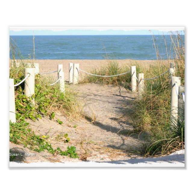Beach walk dune roped off Florida Beach Colour Photo Print (Front)