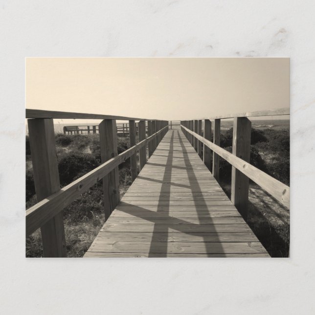 Beach Walk in Sepia Postcard (Front)