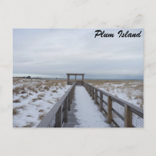 Beach Walkway Postcard
