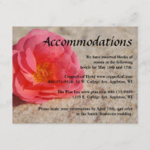 Beach Wedding Enclosure Cards - Rose on sand