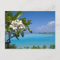 Beach Wedding Ocean Tahiti Flowers
