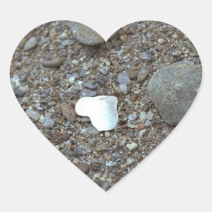 Beach Wedding Seashell Heart Wedding Hearts Sticker