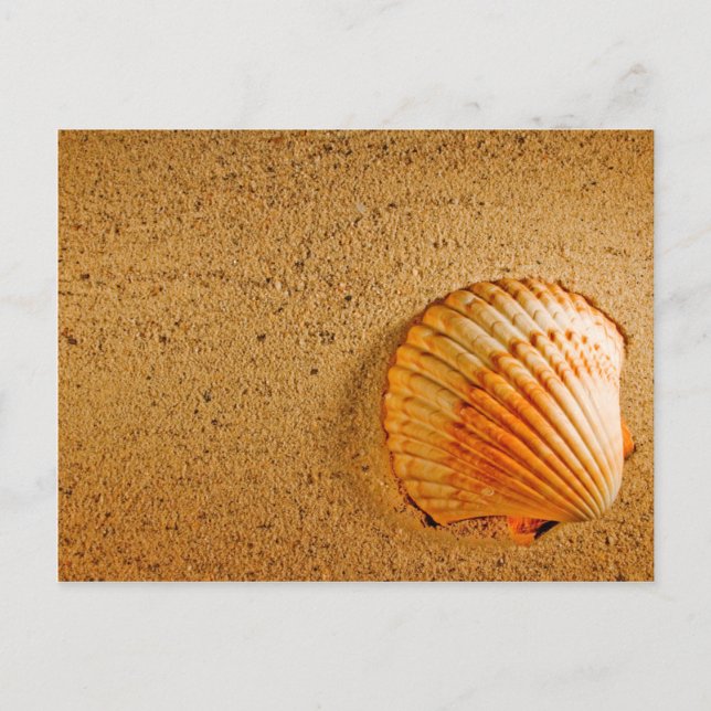 Beach Wedding Tropical RSVP Invitation (Front)