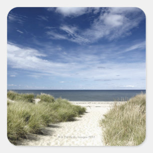 Beach, Welfleet MA Square Sticker