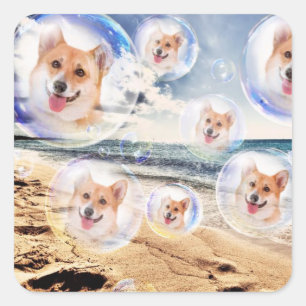 Beach Welsh Corgis Square Sticker