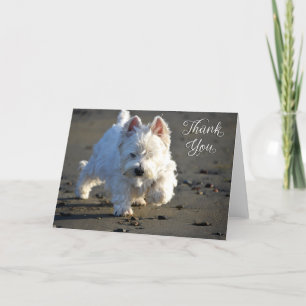 Beach Westie Photo Thank You Card