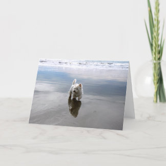 Beach Westie Reflection Photo Greeting Card