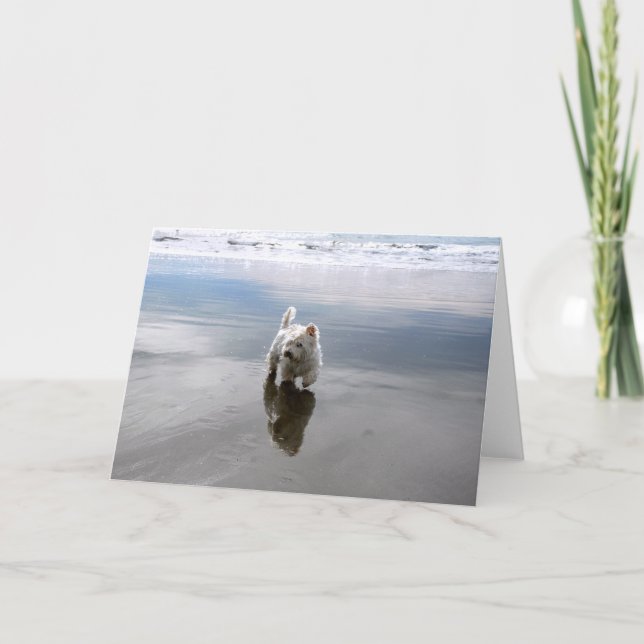 Beach Westie Reflection Photo Greeting Card (Front)