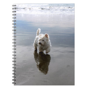 Beach Westie Reflection Photo Notebook