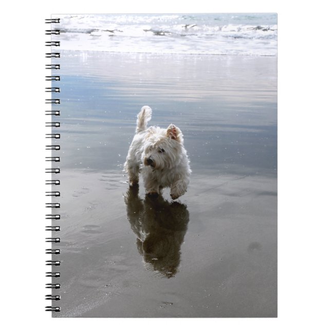 Beach Westie Reflection Photo Notebook (Front)