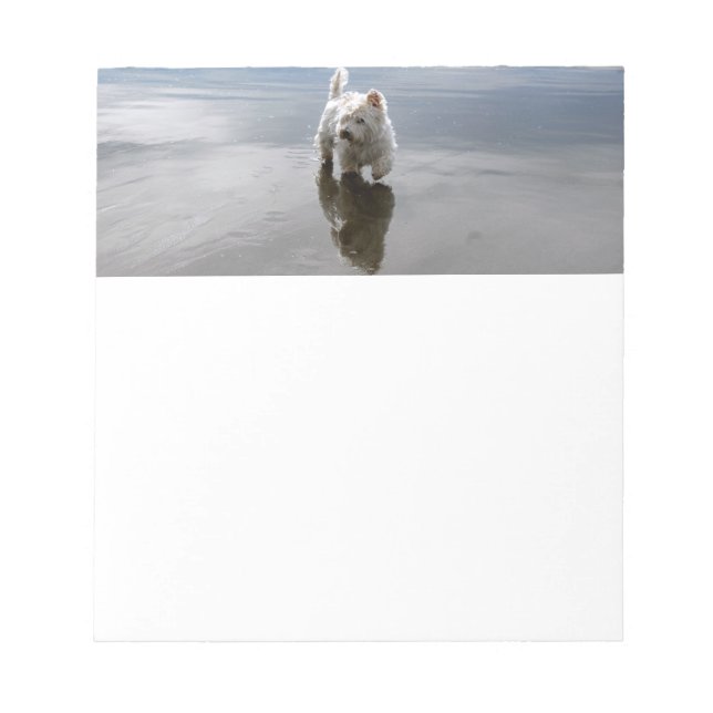 Beach Westie Reflection Photo Stationery Notepad (Front)