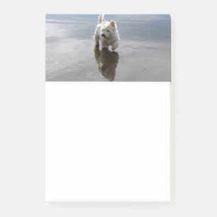 Beach Westie Reflection Stationery Post-it Notes