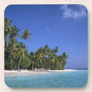 Beach with palm trees, Maldives Coaster