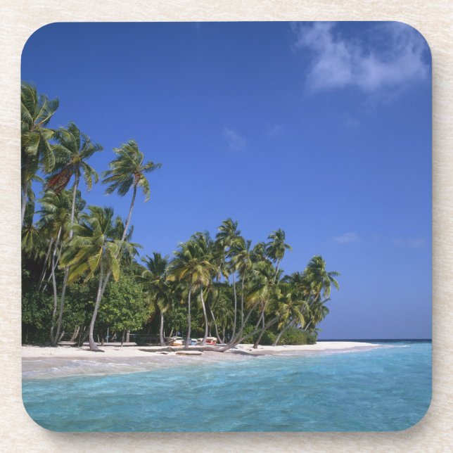 Beach with palm trees, Maldives Coaster (Front)