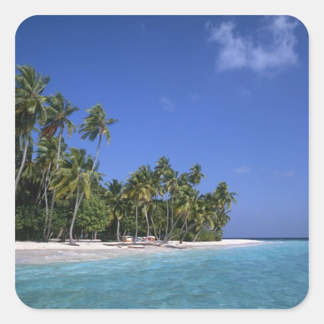 Beach with palm trees, Maldives Square Sticker (Front)