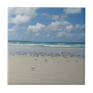 Beach with Seagulls Ceramic Tile