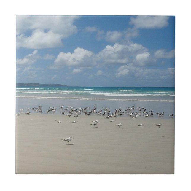 Beach with Seagulls Ceramic Tile (Front)