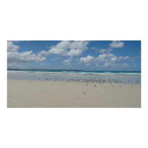 Beach with Seagulls Poster