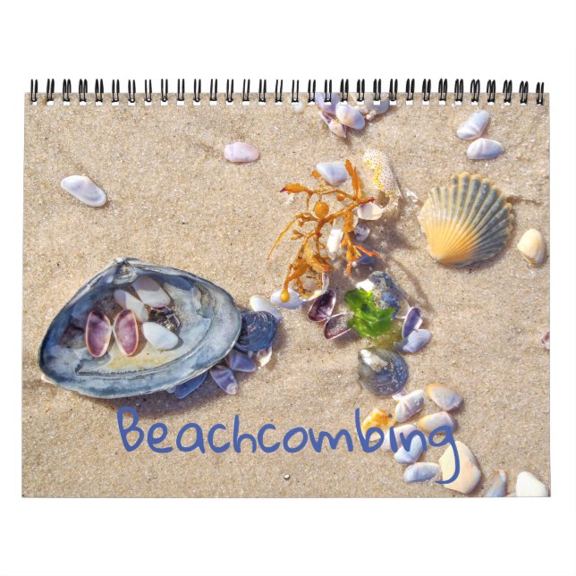 Beachcombing Calendar (Cover)