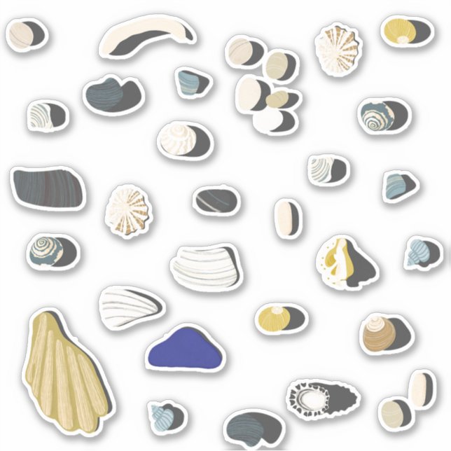 Beachcombing Shells and Pebbles (Front)